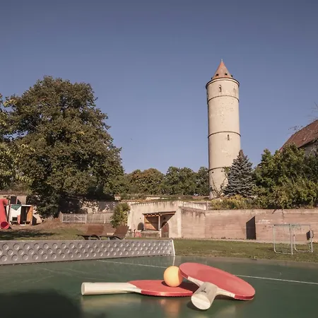 - Youth Dinkelsbühl